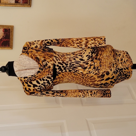 💥Animal Print Dress with Hoodie💥 - Picture 3 of 11